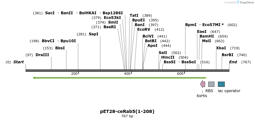 95273_map