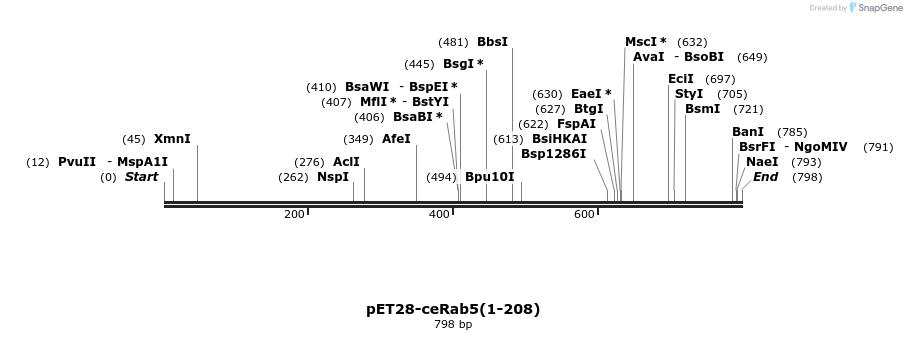 95274_map