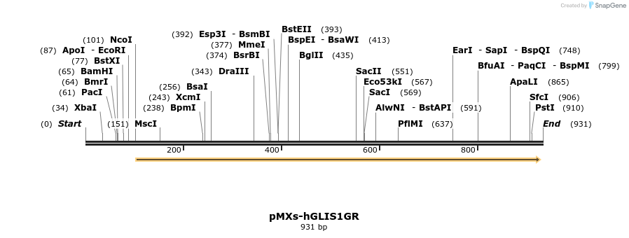 95275_map