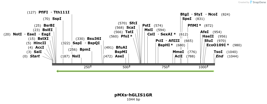 95280_map
