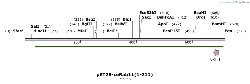 95284_map
