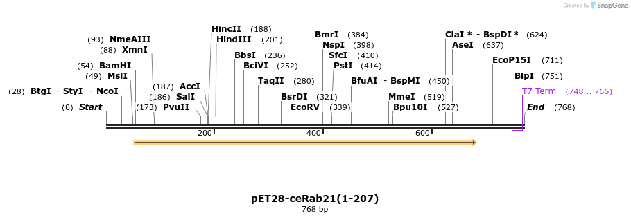95286_map