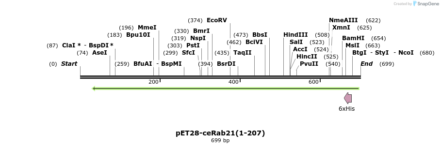 95288_map