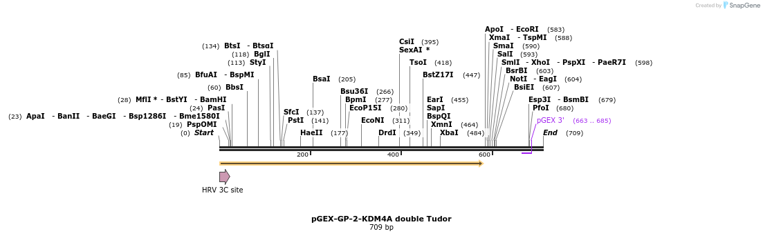 95296_map