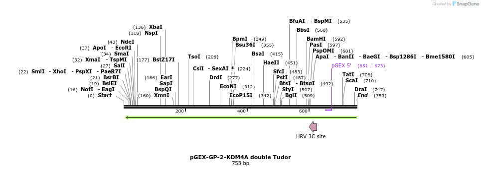 95297_map