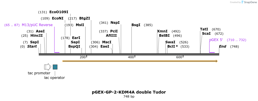 95298_map