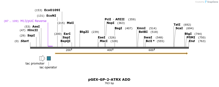 95299_map