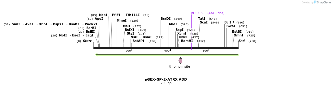 95300_map