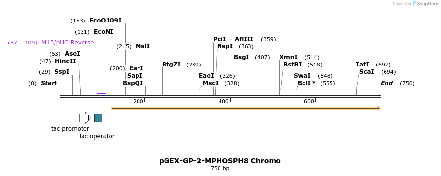 95304_map