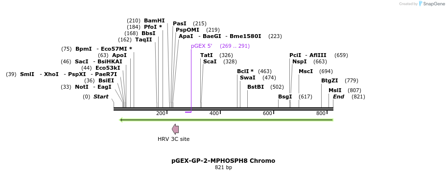 95305_map