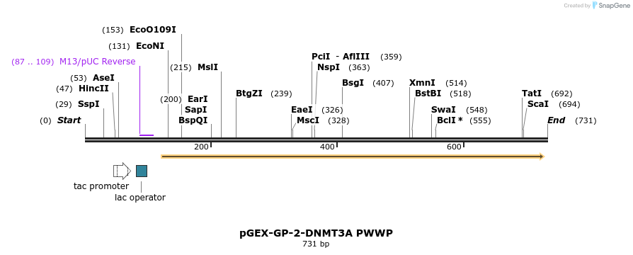 95306_map