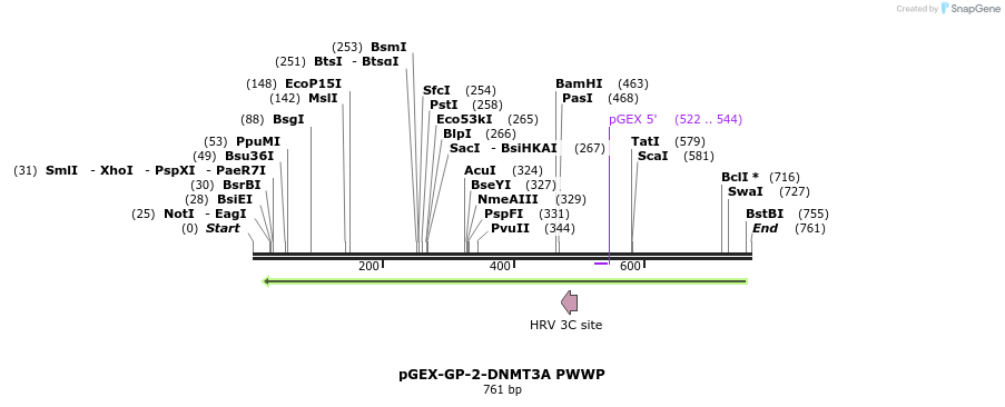 95308_map