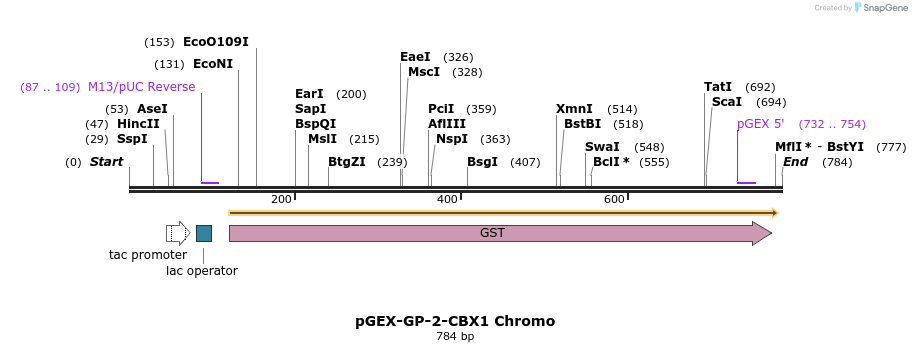 95309_map
