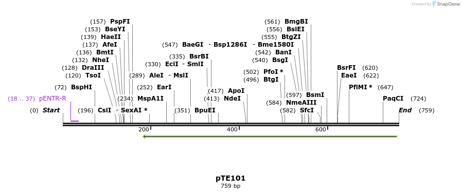 95312_map