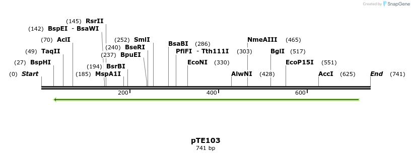 95315_map
