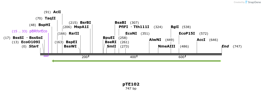 95316_map