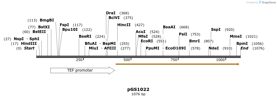 95326_map