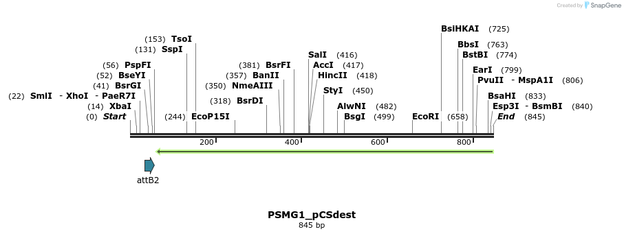 95327_map