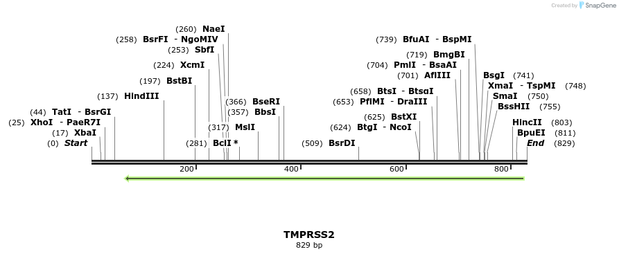 95332_map