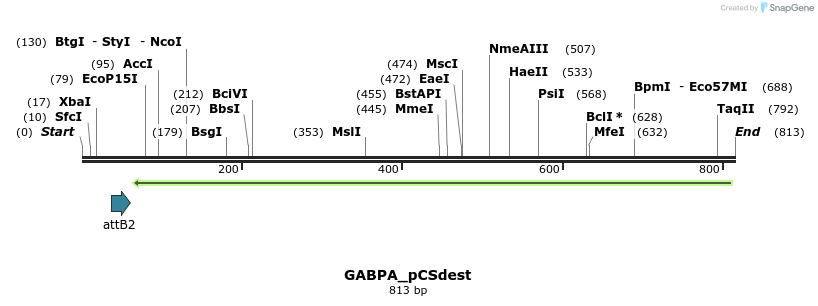 95336_map