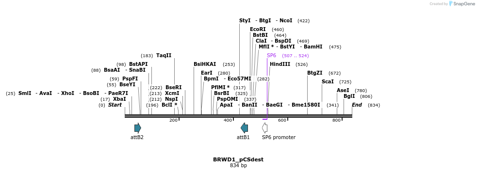 95345_map