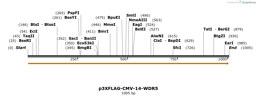95346_map