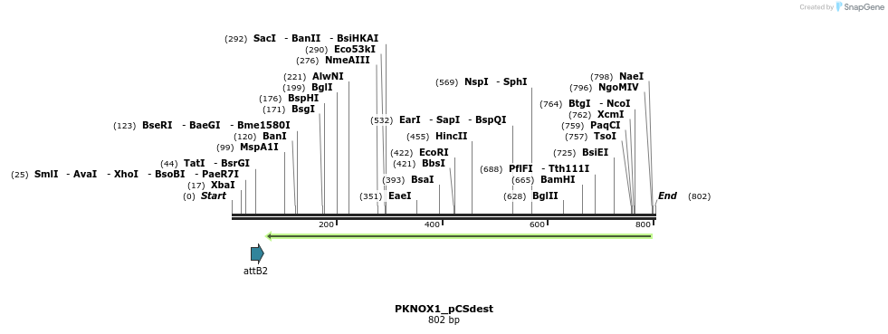 95351_map