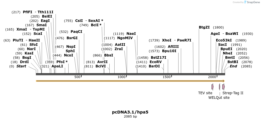 95355_map