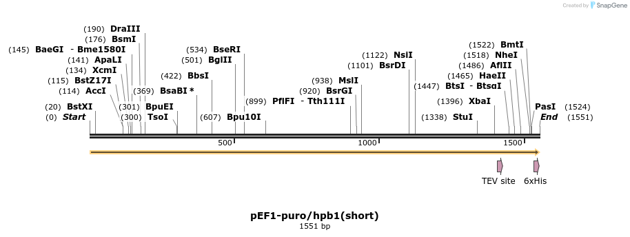 95356_map
