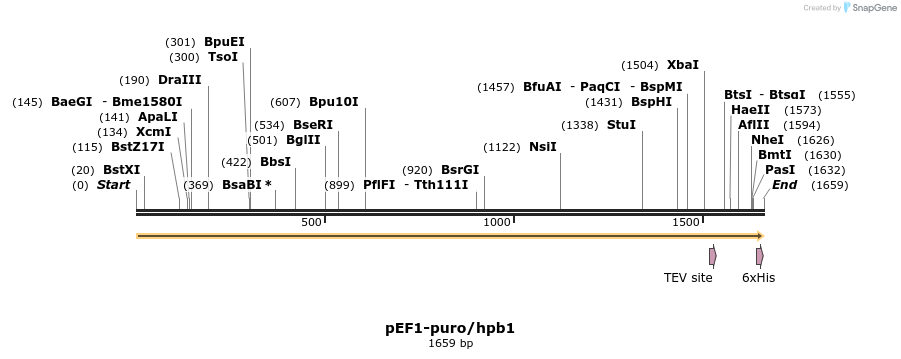 95359_map