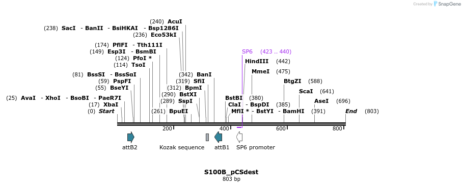 95360_map