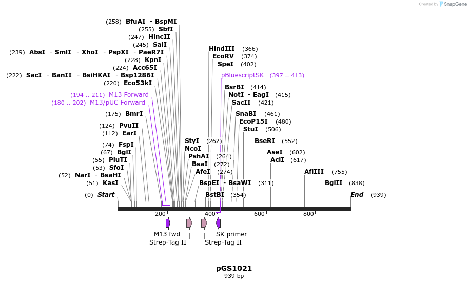 95363_map