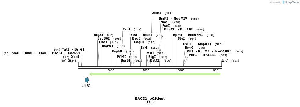 95375_map