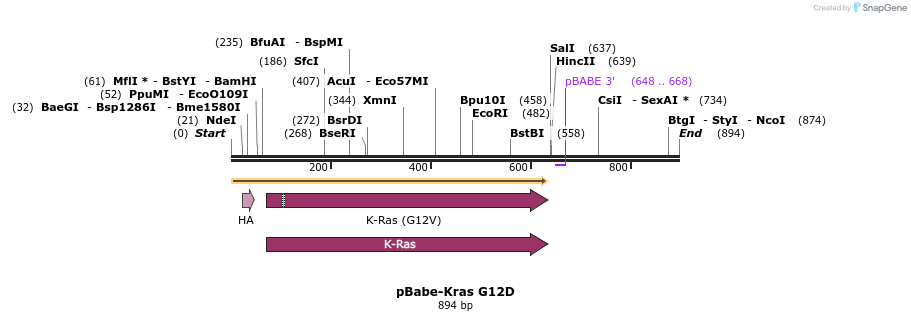 95376_map