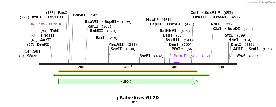 95378_map