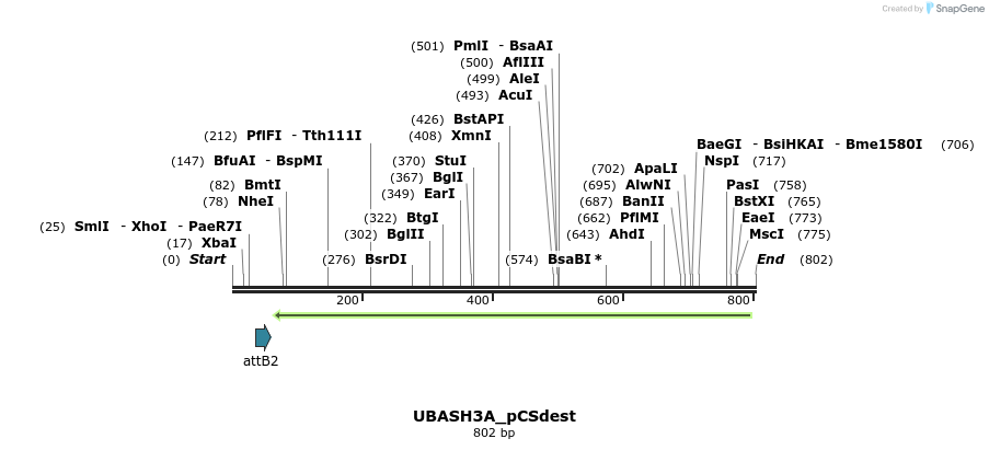 95379_map