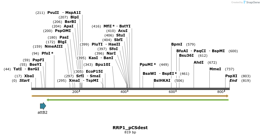 95381_map
