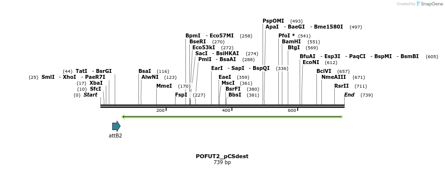 95383_map