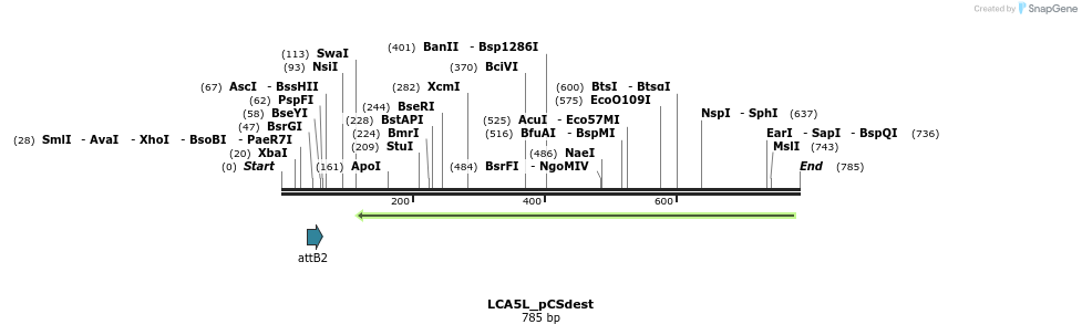 95385_map