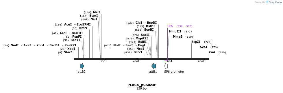 95386_map