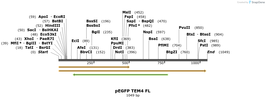 95387_map