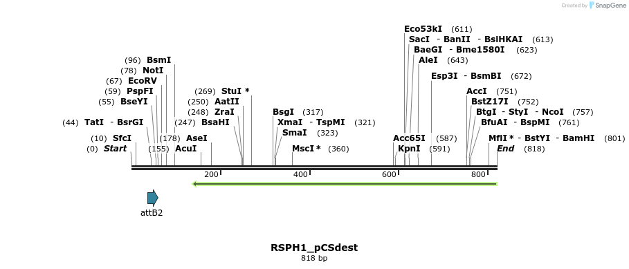 95392_map