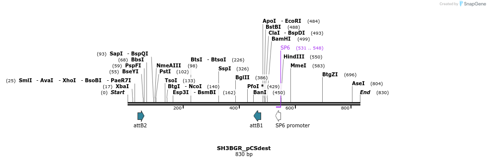 95397_map