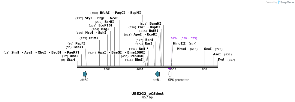 95402_map