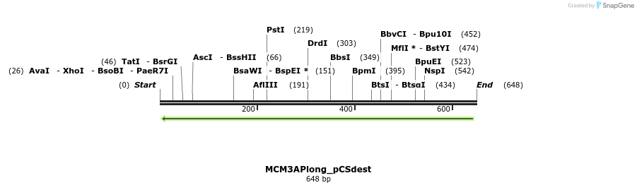 95404_map