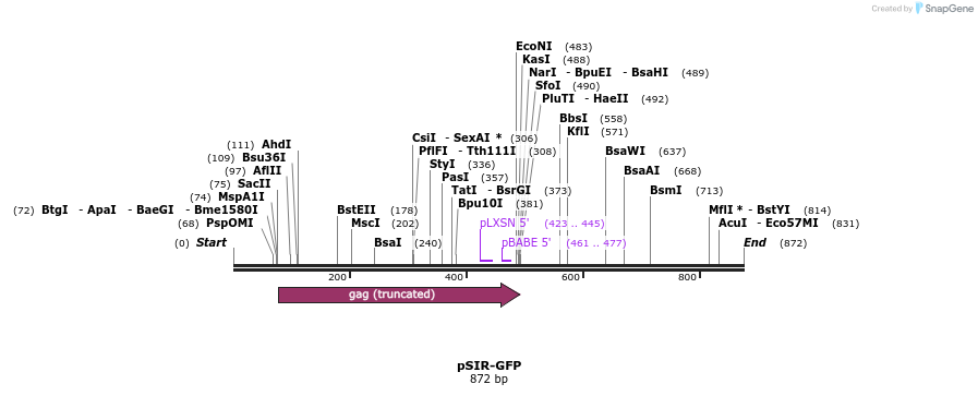 95405_map
