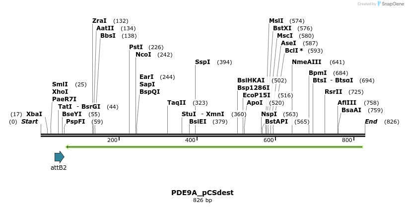 95408_map
