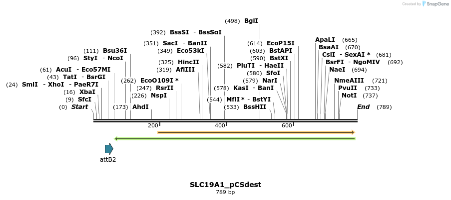 95411_map