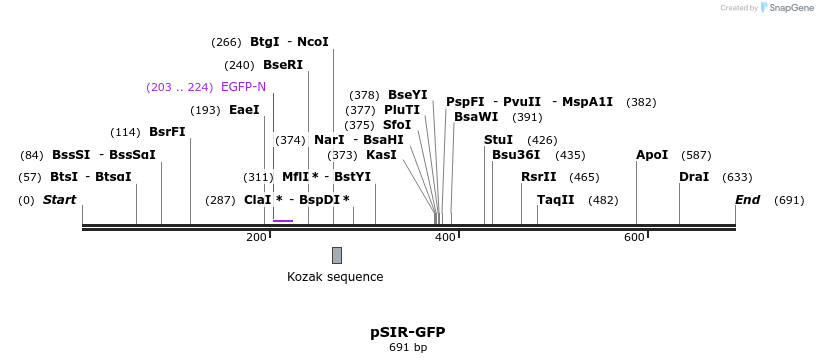95416_map