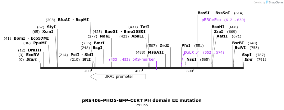 95422_map